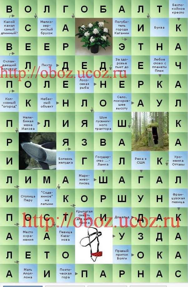 пихто - ответ сканворд В контакте 1264 - Сканвордист Вконтакте